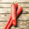 Red Carrot - Image 2