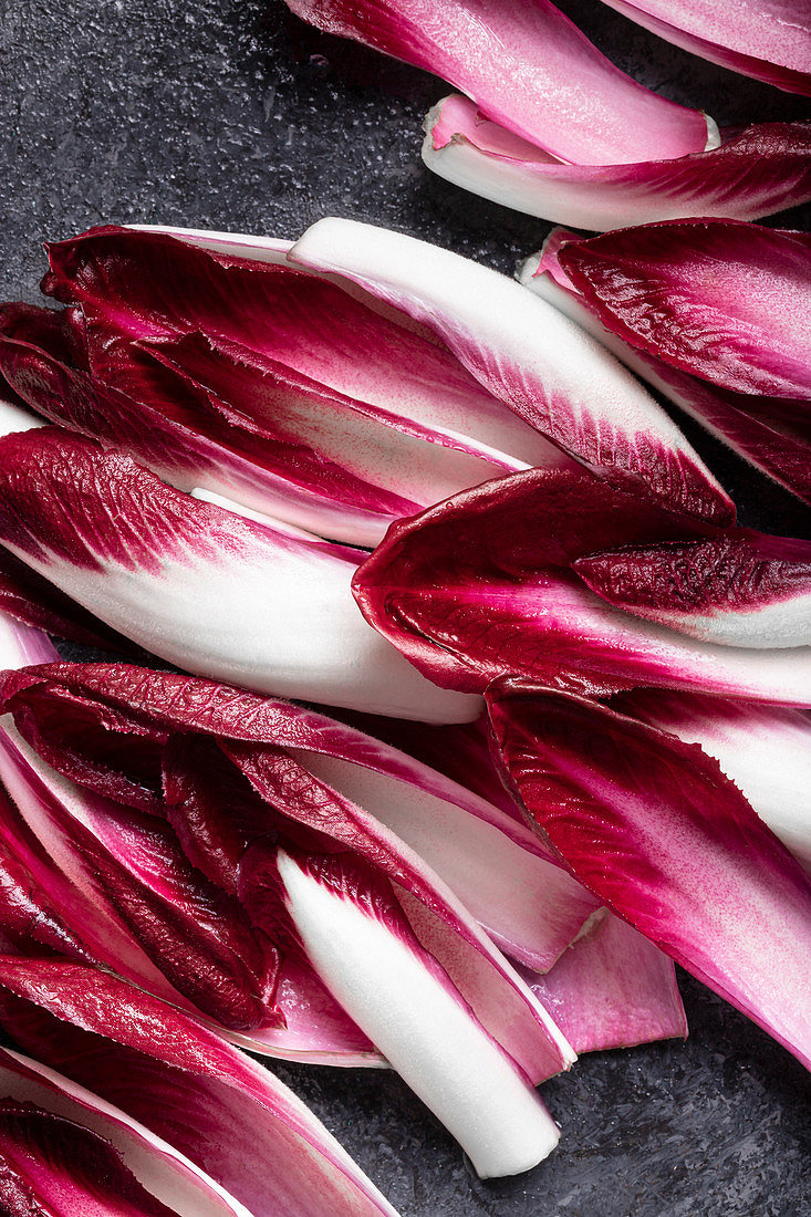 Red Chicory / Red Endive - Intercorps Group